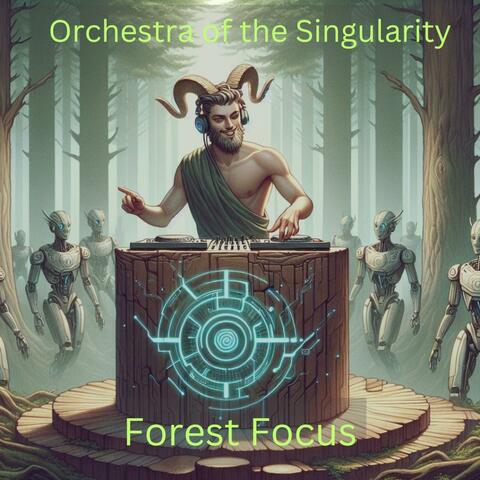 Forest Focus