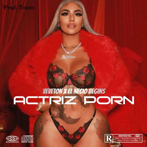 Actriz Porn (feat. El Necio begins)