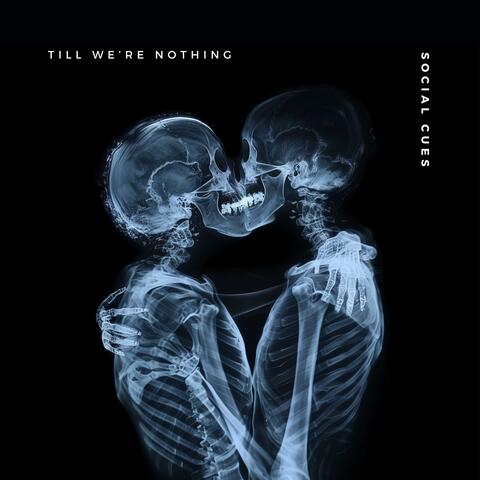 Till We're Nothing