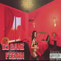 Dj Banz Feenin