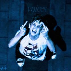 voices