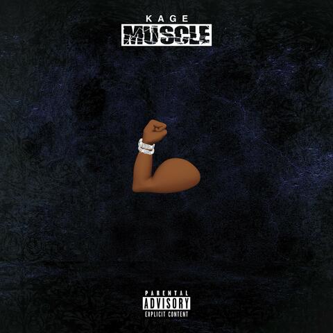 Muscle