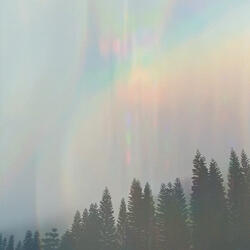 Fault Line