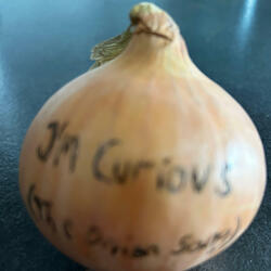 I'm Curious (feat. Jan Vidar Jensen & Ole Kristian Nalum)