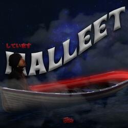 Malleet