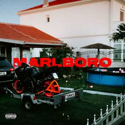 MARLBORO