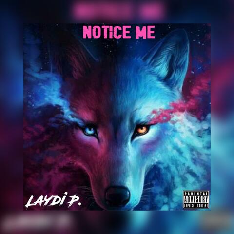 Notice Me