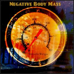 Negative Body Mass