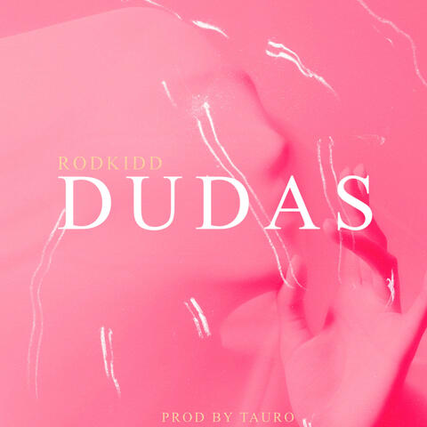 Dudas (feat. taurobeats)
