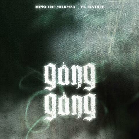 Gang Gang (feat. Raysee)