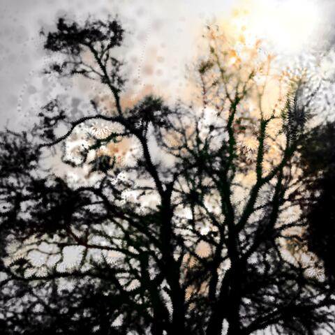 Subtle Skies