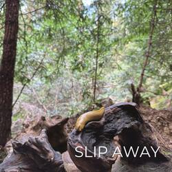Slip Away