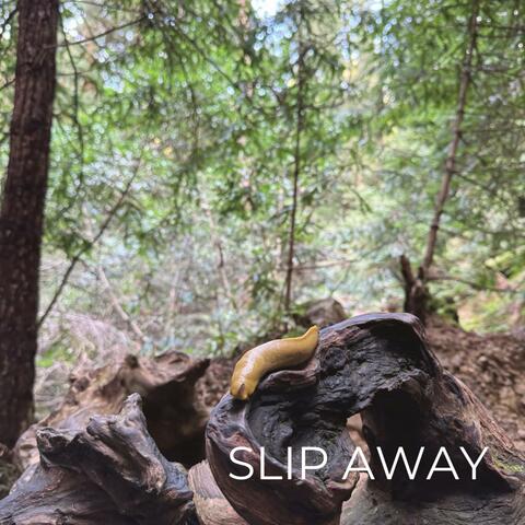 Slip Away