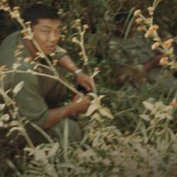 I'd Rather Die Young