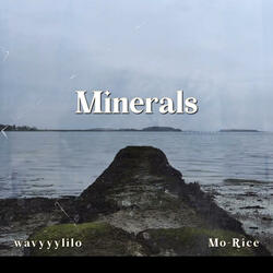 Minerals (feat. Mo-Rice)