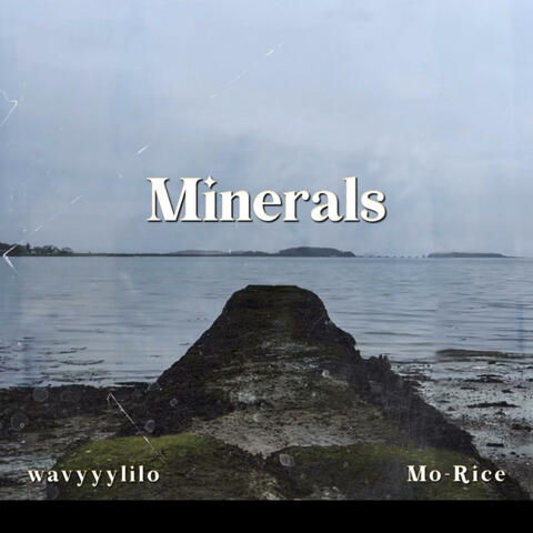 Minerals (feat. Mo-Rice)