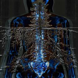 Woolly Mammoth Burial Site