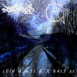 C0LD & W3T & X H4T3 XT (feat. aBnormal joY)