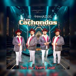 Mas Que Amigos