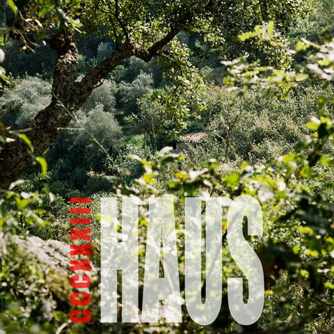 HAUS