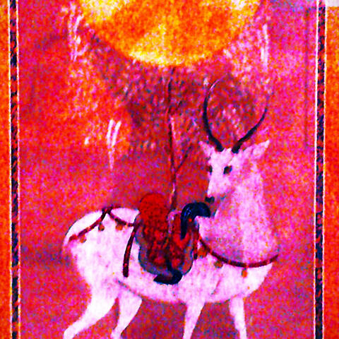My sun seeks the rose in rain