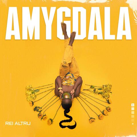 Amygdala
