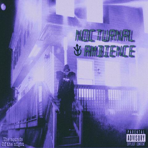 Nocturnal Ambience : Bruised & Screwed