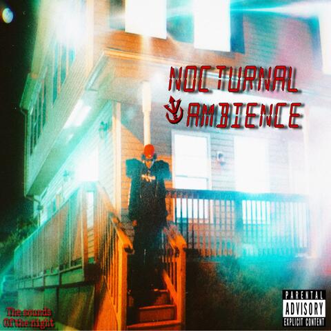 Nocturnal Ambience