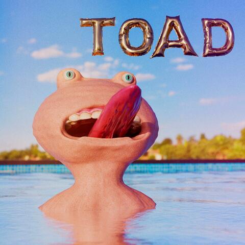 Toad