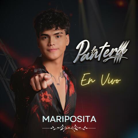 Mariposita (En vivo)