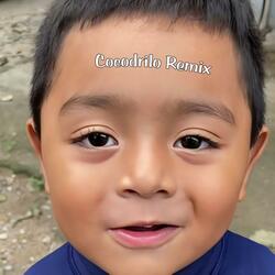 Coco Drilo (feat. Dj Bambinos)