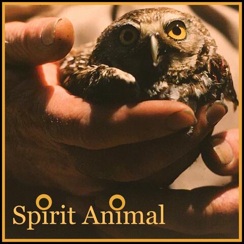 Spirit Animal