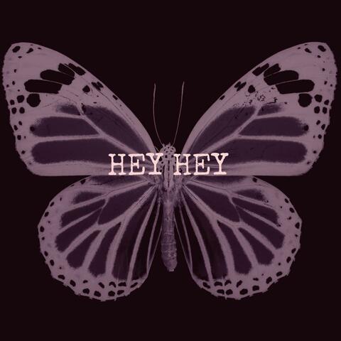 Hey Hey