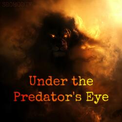 Under the Predator's Eye
