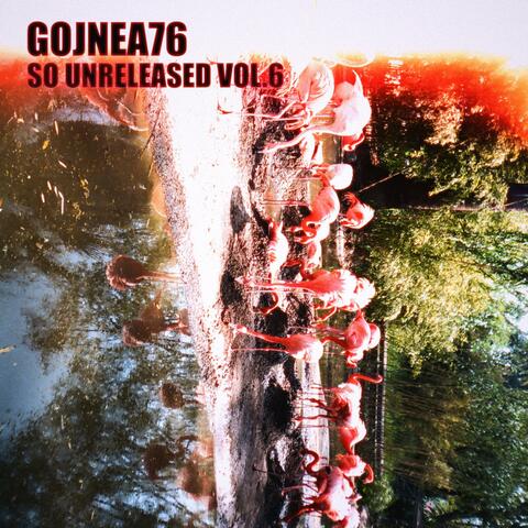 So Unreleased Vol​.​6