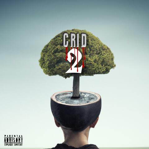 CRiD 2
