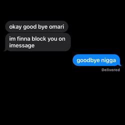goodbye nigga