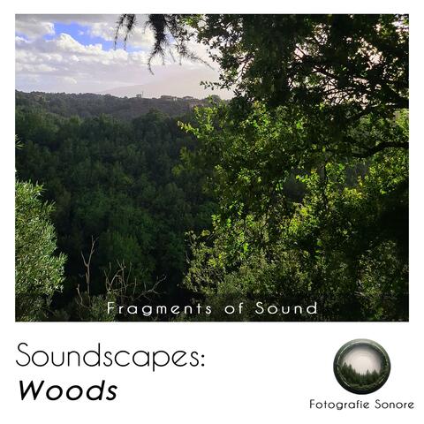 Soundscapes: Woods