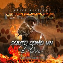 Solito como un perrito