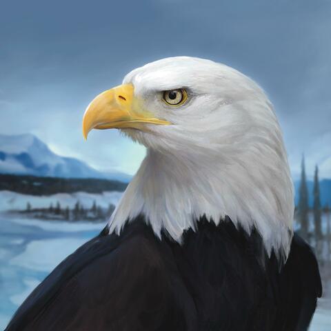 The Eagle's Mouth