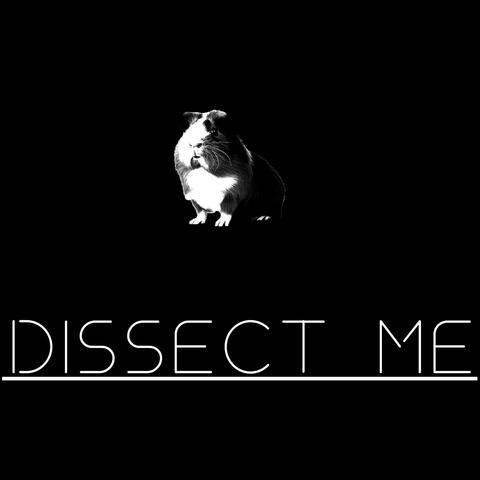 Dissect Me (feat. 重音テト)