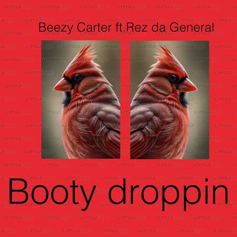 Booty droppin (feat. Rez da General)