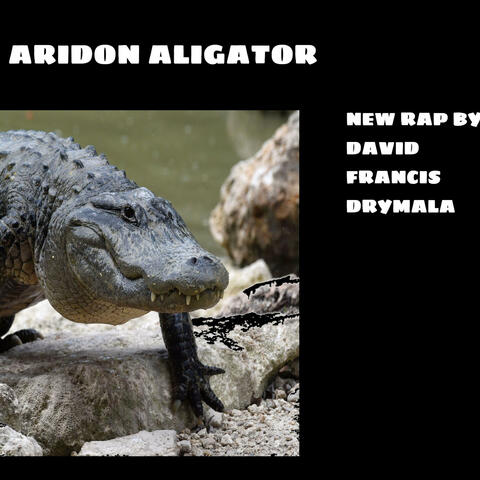 THE ARIDAM ALIGATOR NEW RAP BY DAVID FRANCIS DRYMALA