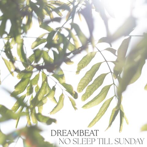 Dreambeat