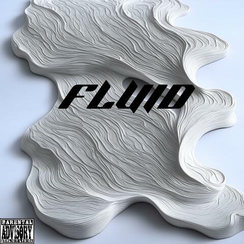 Fluid