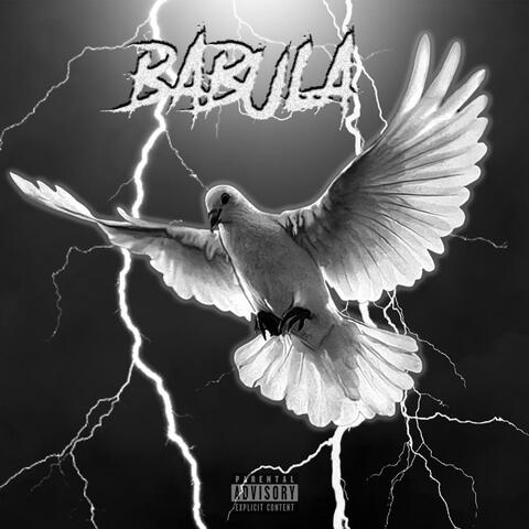 Babula - Ptak