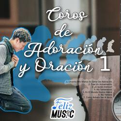 Levanto Mis Manos En Señal De Adoración