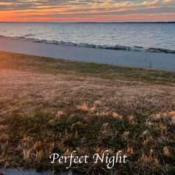 Perfect Night