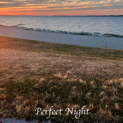 Perfect Night