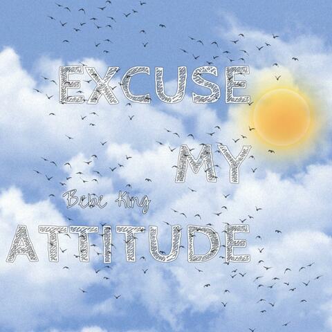 Excuse My Attitude